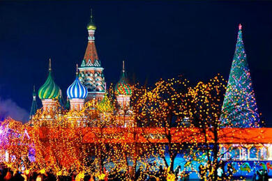 Новый год в Москве + цирк на Вернадского