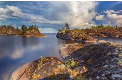 Мелодии Карельского леса