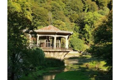 Сочи + Абхазия - ЛЕТО 2026