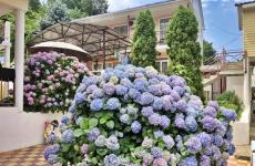 Гостевой дом «Византия» - 2026. Фото №11