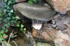 Гостевой дом «Элина» Витязево. Фото №13