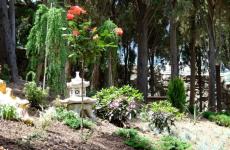 Отель «Чайная Горка». Фото №13