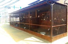 Пансионат «Фея 2» - 2026. Фото №13