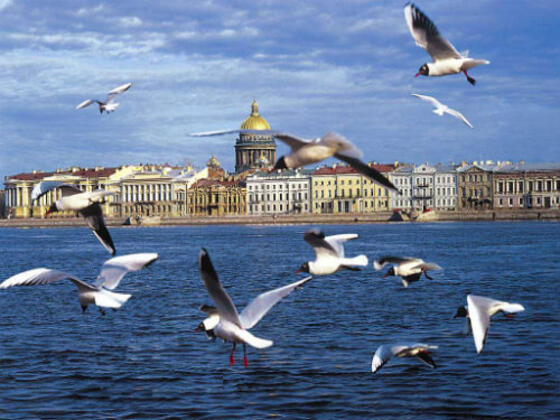 На Невских берегах