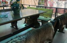 Гостевой дом «Марина». Фото №2