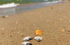 Гостевой дом «Элина» Витязево. Фото №4