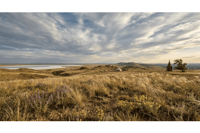 Пух, соль и степной ветер