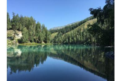 Цветение жарков