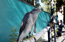 Дом отдыха «Закавказье» - 2026. Фото №4