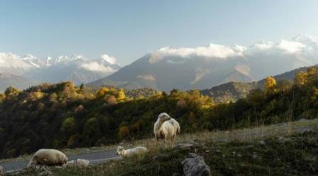 Легенды Кавказа