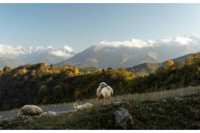Легенды Кавказа