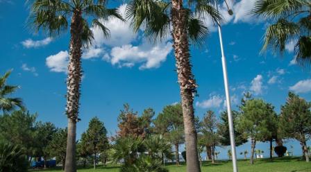 Пляжная Грузия