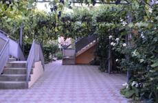 Гостевой дом «Черноморский дворик» - 2026. Фото №23