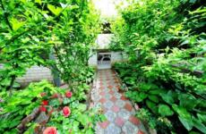 Гостевой дом «Черноморский дворик» - 2026. Фото №41