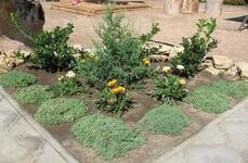 Гостевой дом «Натали» - 2026. Фото №18