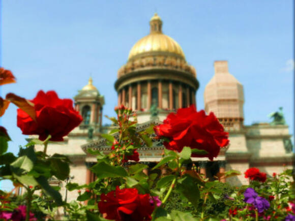 Город Петровской мечты