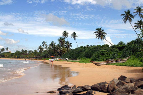 Отдых на Шри‑Ланке: 5 лучших курортов