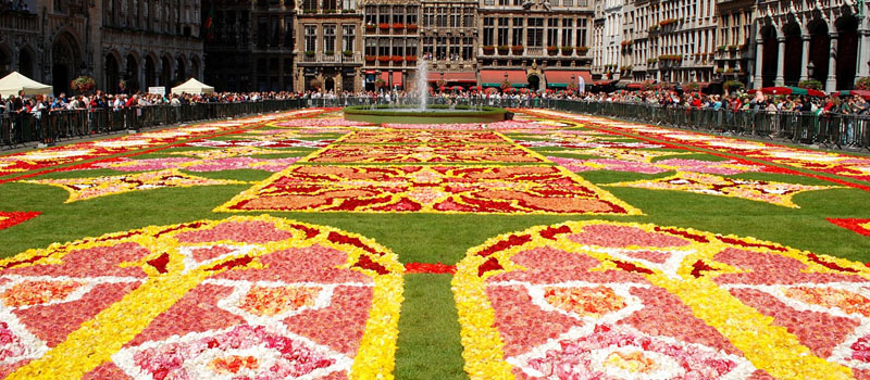 Бельгийский цветочный ковер